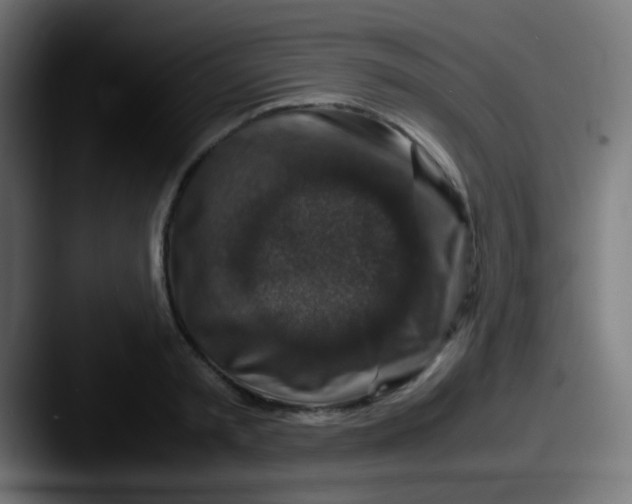X0000087620797200705181312