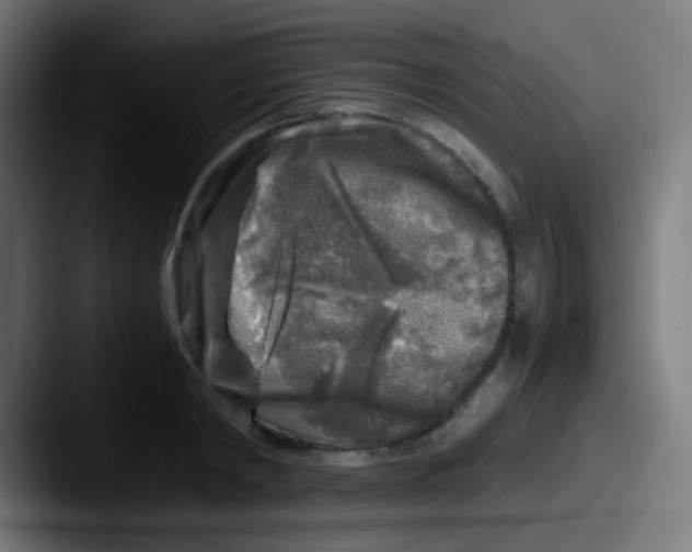 X0000087620798200705181312