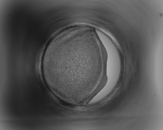 X0000087620799200705181312