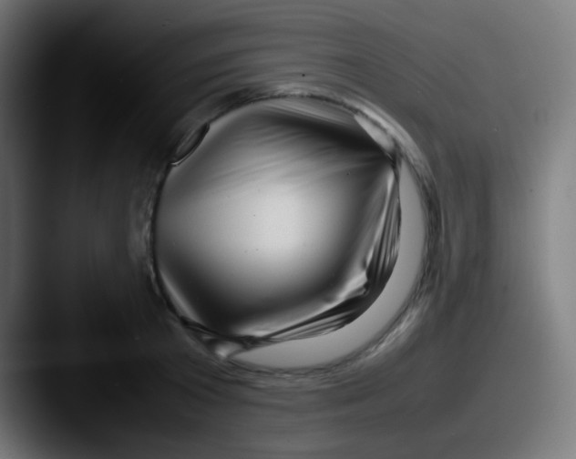 X0000087620801200705181312