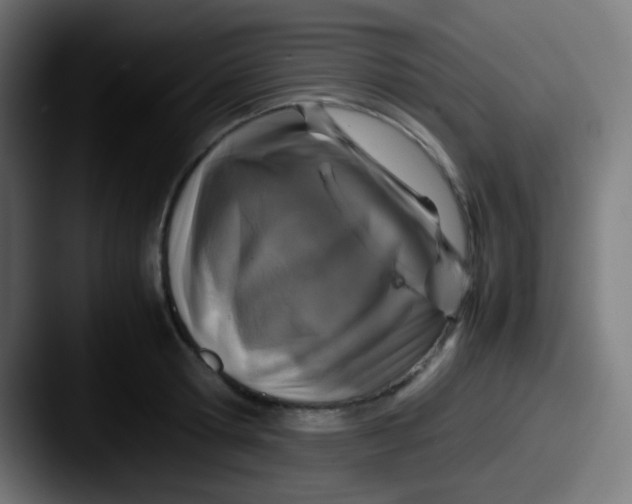 X0000087620802200705181312