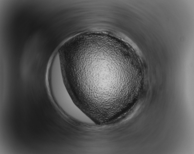 X0000087620803200705181312
