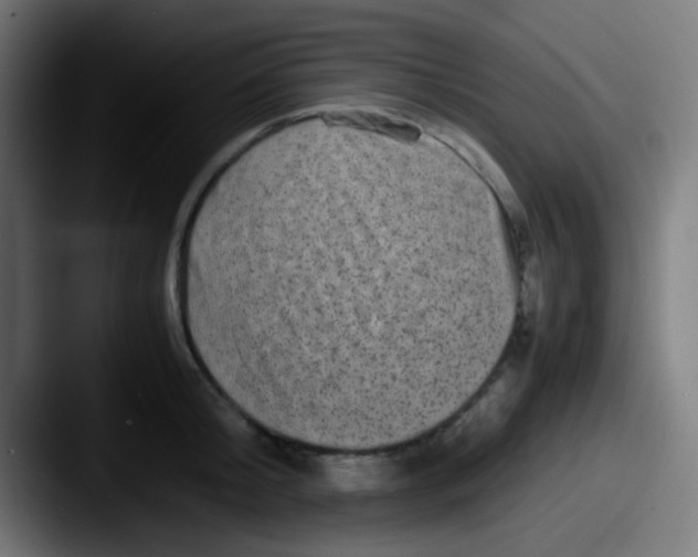 X0000087620804200705181312