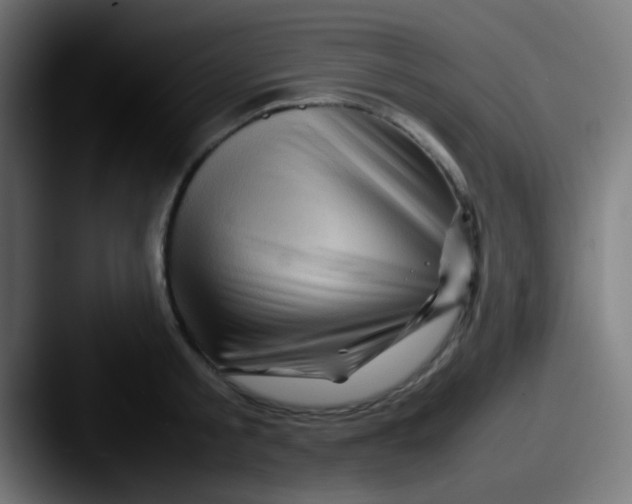 X0000087620805200705181312