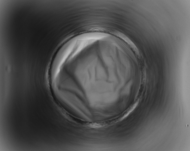 X0000087620806200705181312