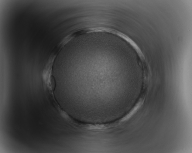 X0000087620809200705181312