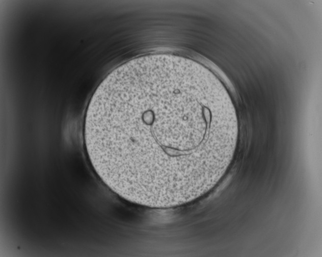X0000087620810200705181312