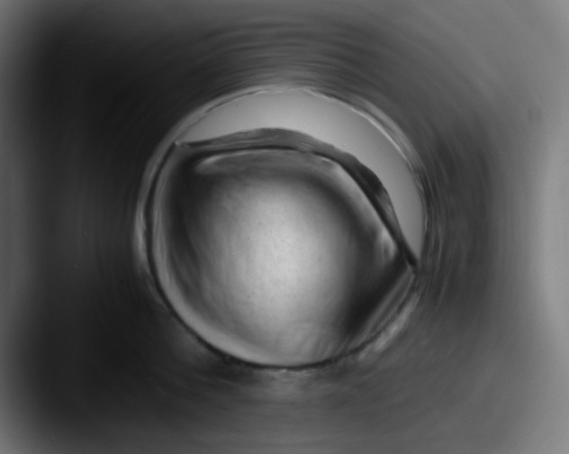 X0000087620812200705181312