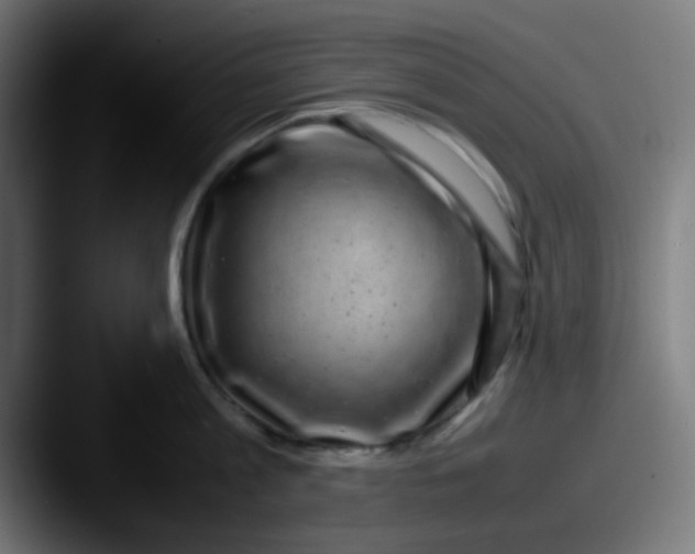 X0000087620813200705181312