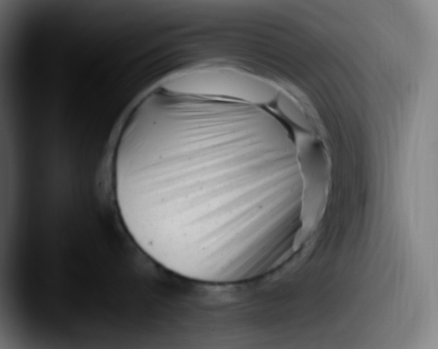 X0000087620816200705181312
