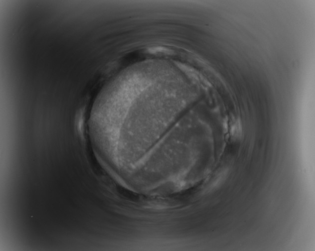 X0000087620819200705181311