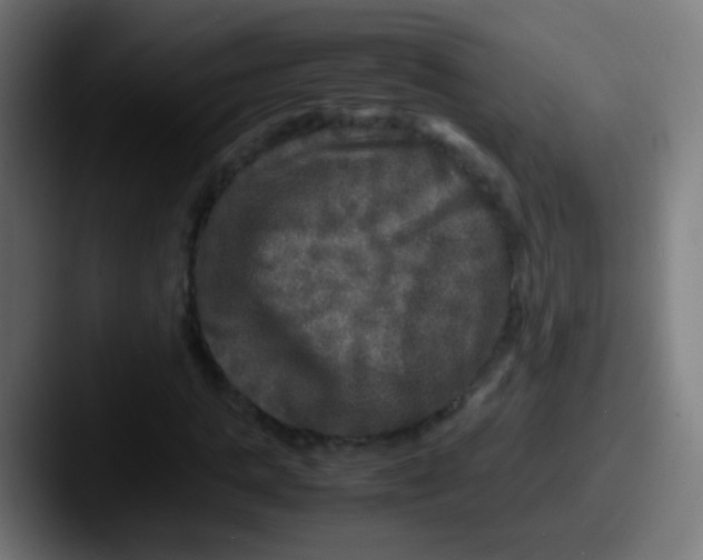 X0000087620821200705181311