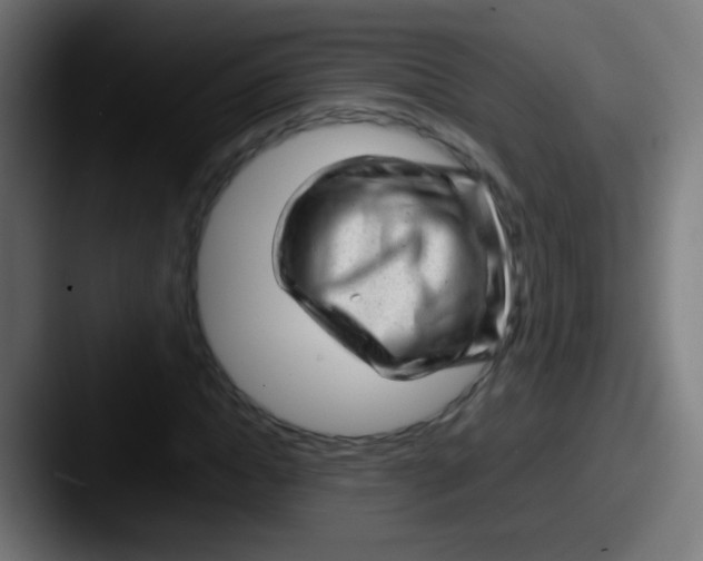 X0000087620822200705181311