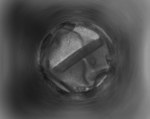 X0000087620823200705181311