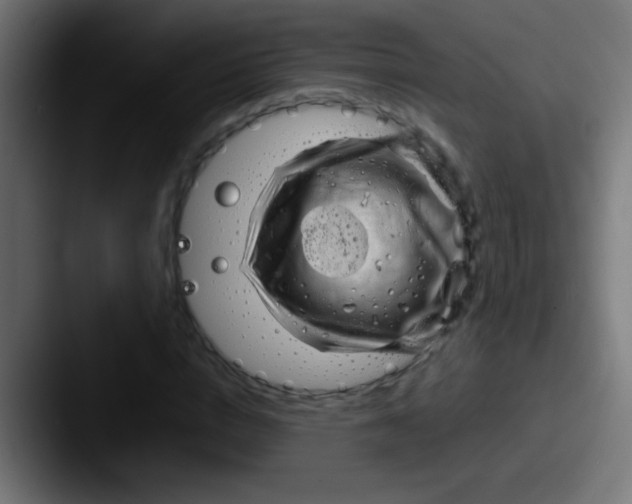 X0000087620824200705181311