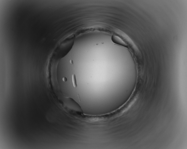 X0000087620826200705181311