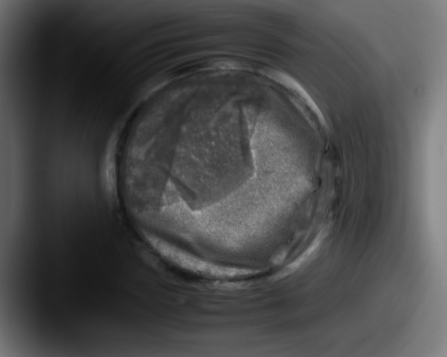 X0000087620827200705181311