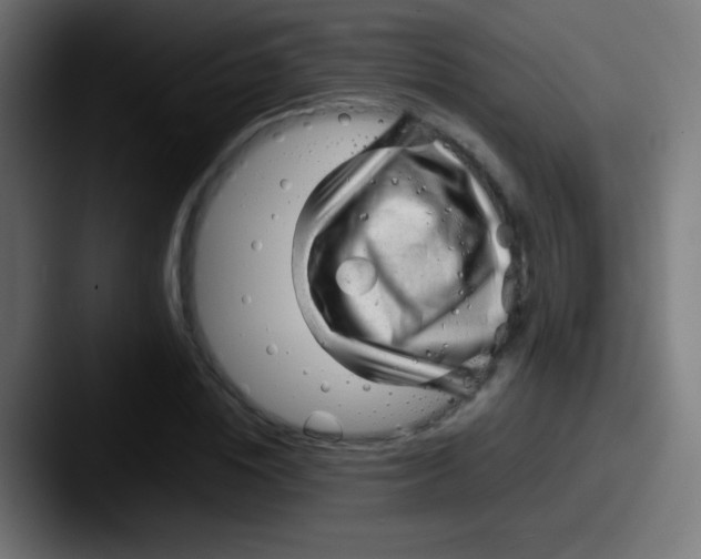 X0000087620828200705181311