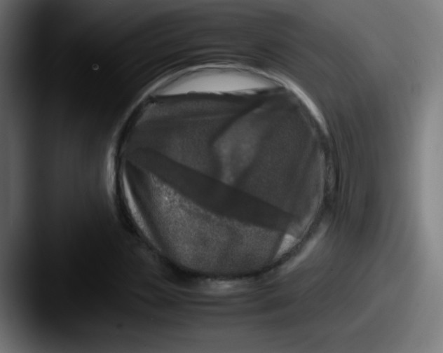 X0000087620829200705181311
