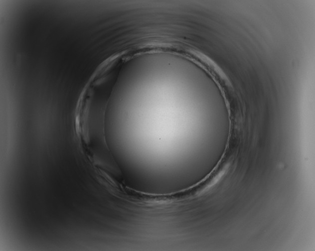 X0000087620830200705181311