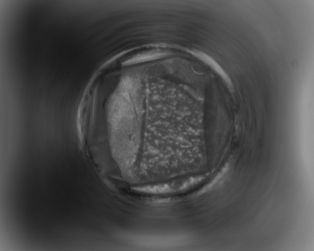 X0000087620831200705181311