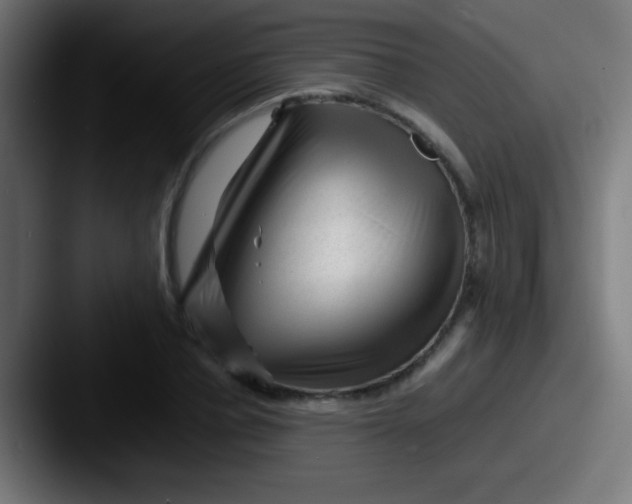 X0000087620834200705181311