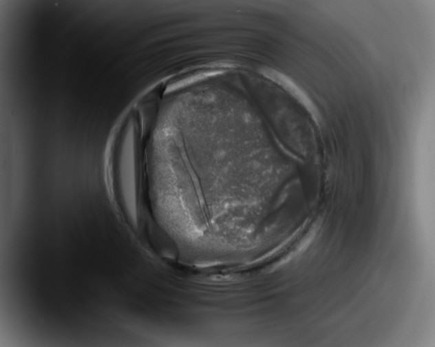 X0000087620835200705181311