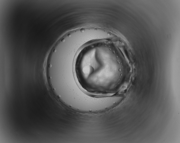 X0000087620836200705181311