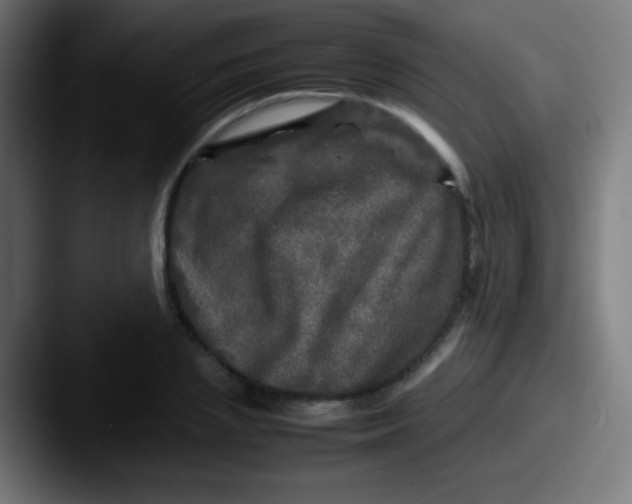 X0000087620837200705181311