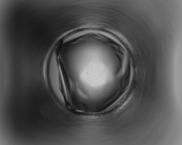X0000087620838200705181311