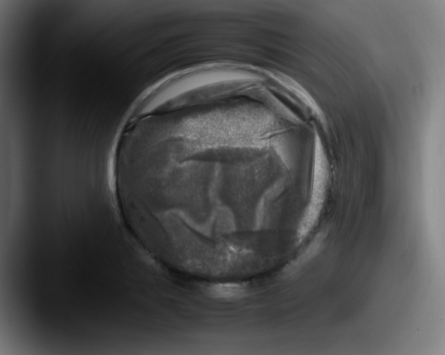 X0000087620839200705181311