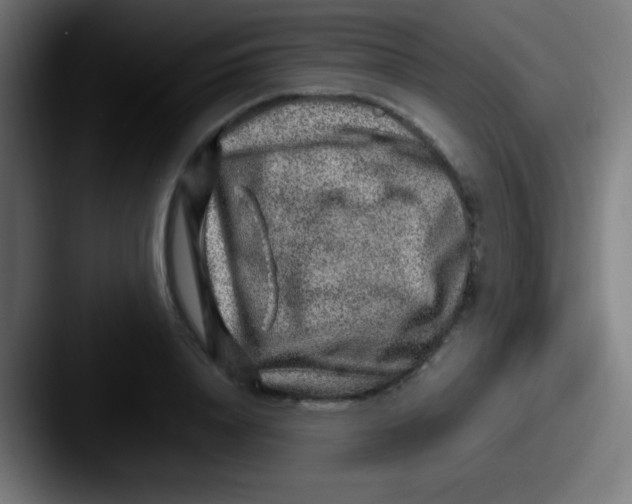 X0000087620840200705181311