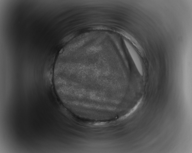 X0000087620841200705181311