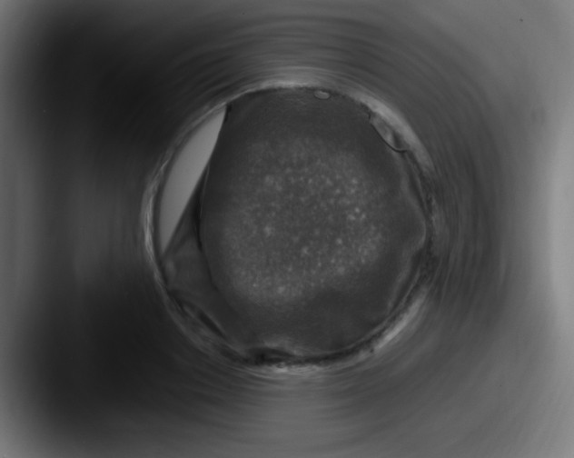 X0000087620842200705181311