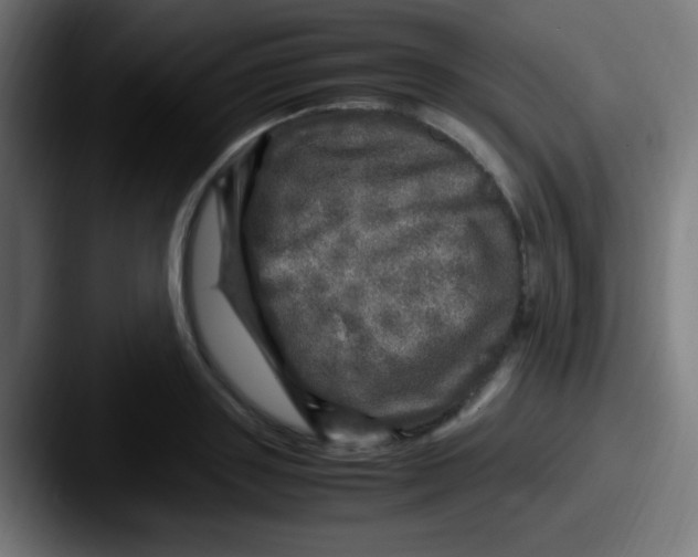 X0000087620843200705181311