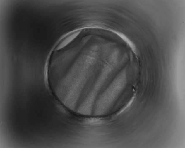 X0000087620846200705181311