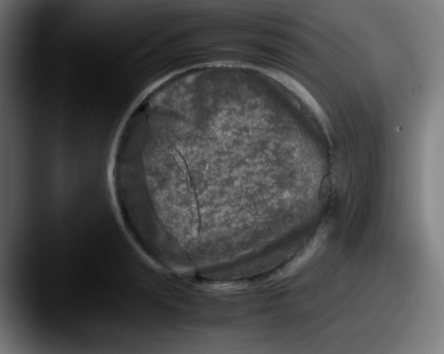 X0000087620847200705181311