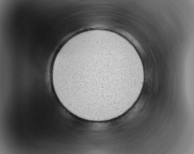 X0000087620848200705181311