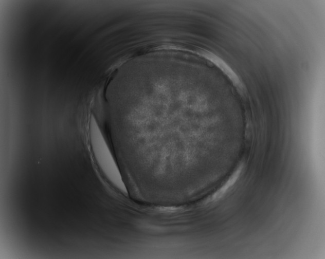 X0000087620849200705181312