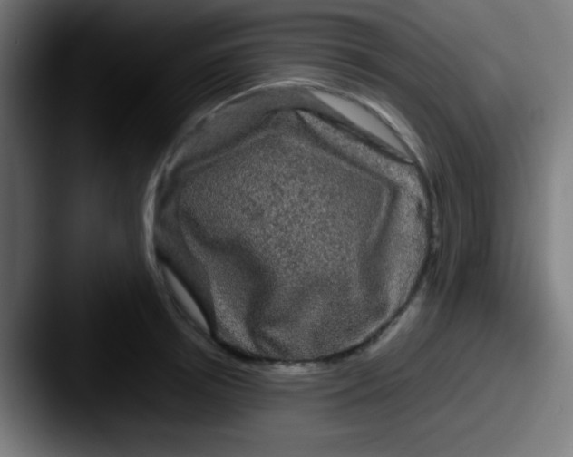 X0000087620850200705181312
