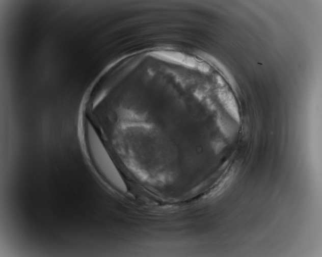 X0000087620851200705181312