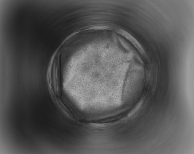 X0000087620852200705181312