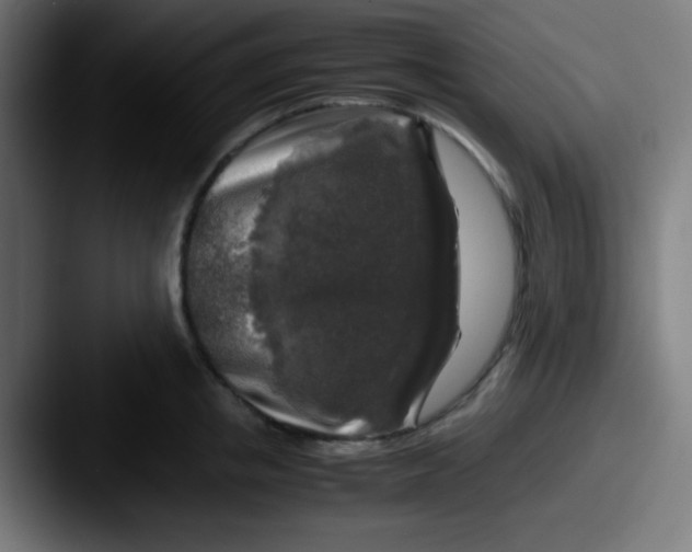 X0000087620853200705181312