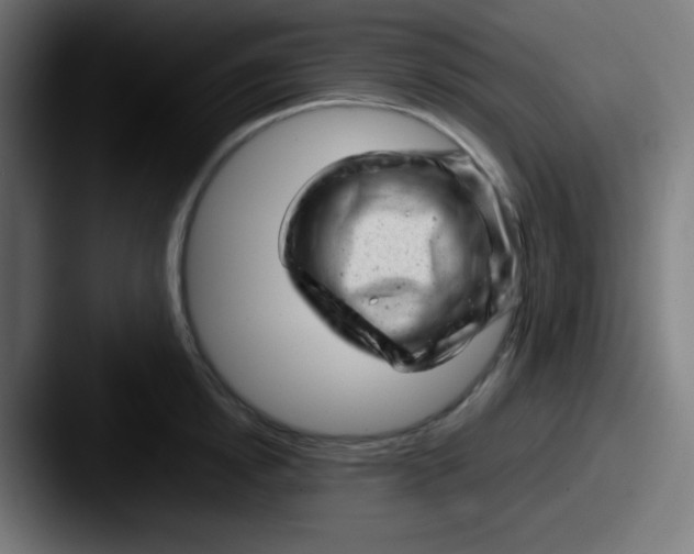 X0000087620854200705181312