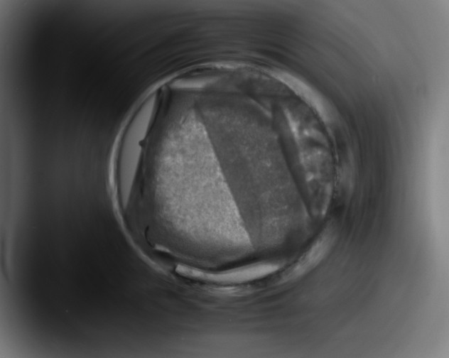 X0000087620855200705181312