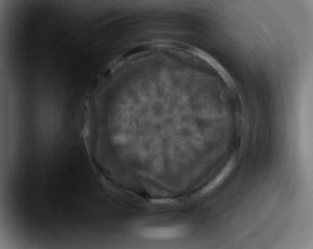 X0000087620857200705181312