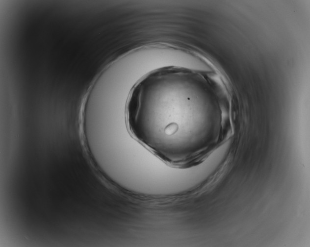 X0000087620858200705181312