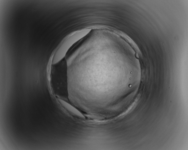 X0000087620860200705181312