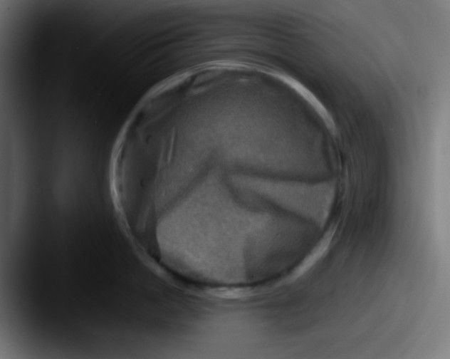 X0000087620862200705181312