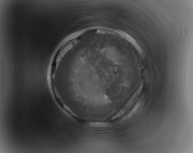 X0000087620863200705181312